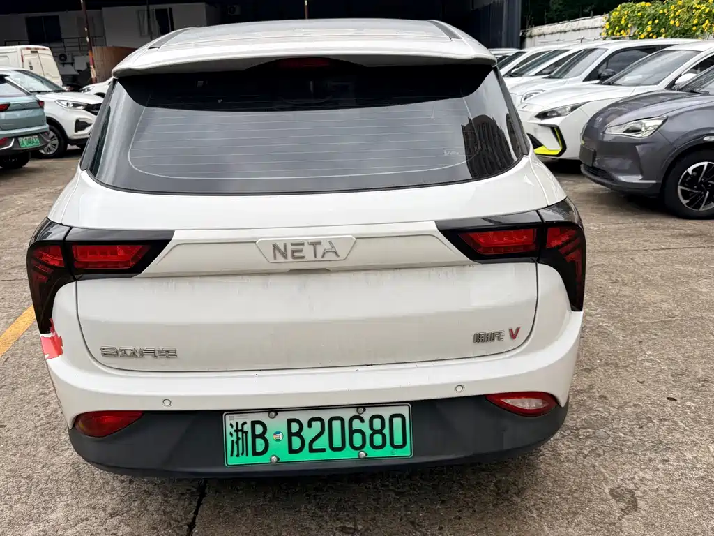 Neta Neta V — миниатюра 8