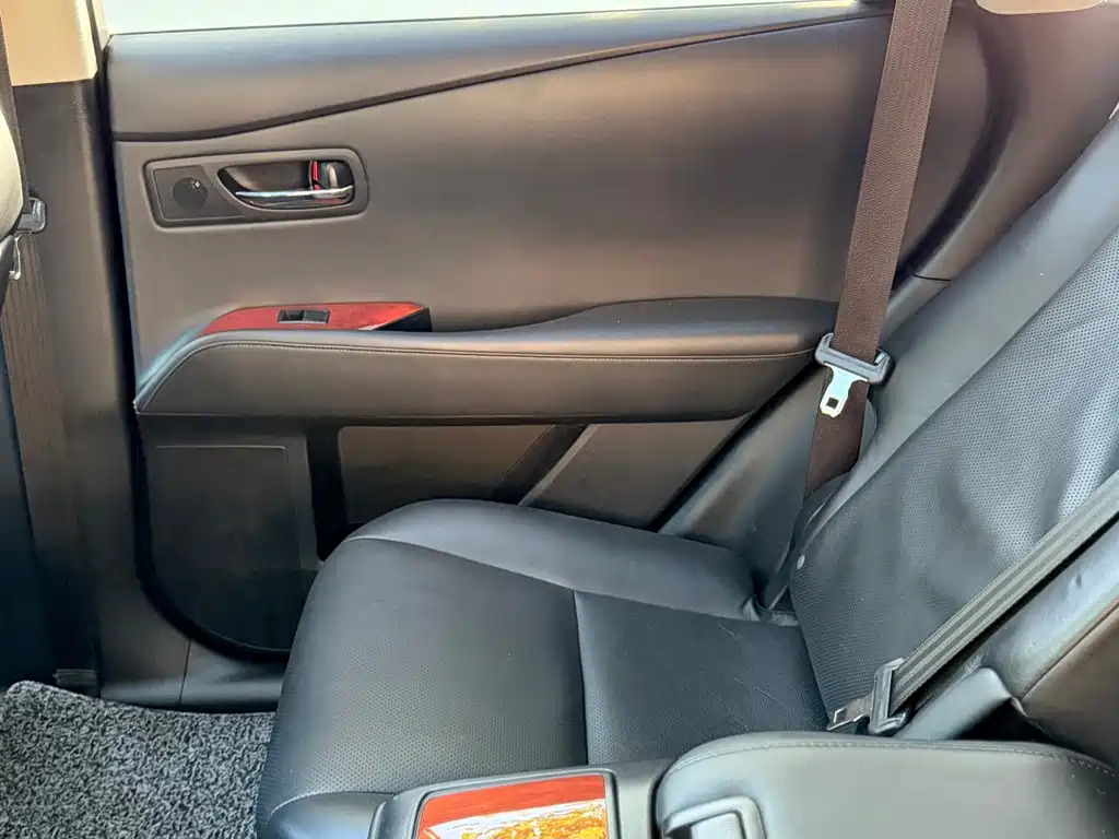 Lexus RX Classic — миниатюра 29