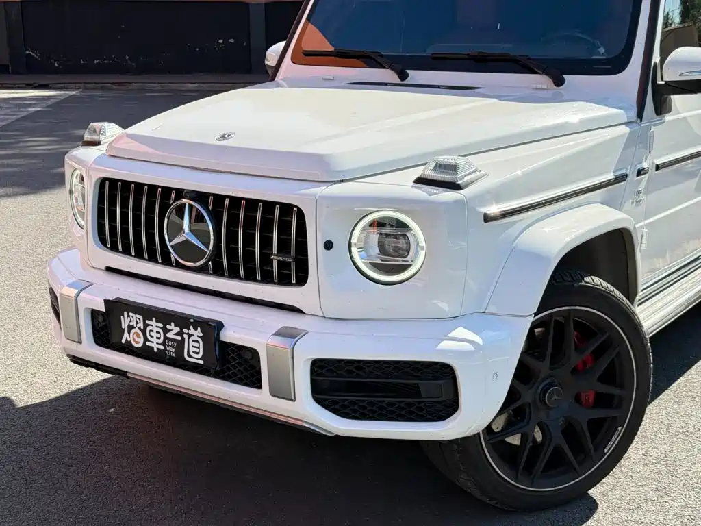 Mercedes-Benz G-Class — миниатюра 20
