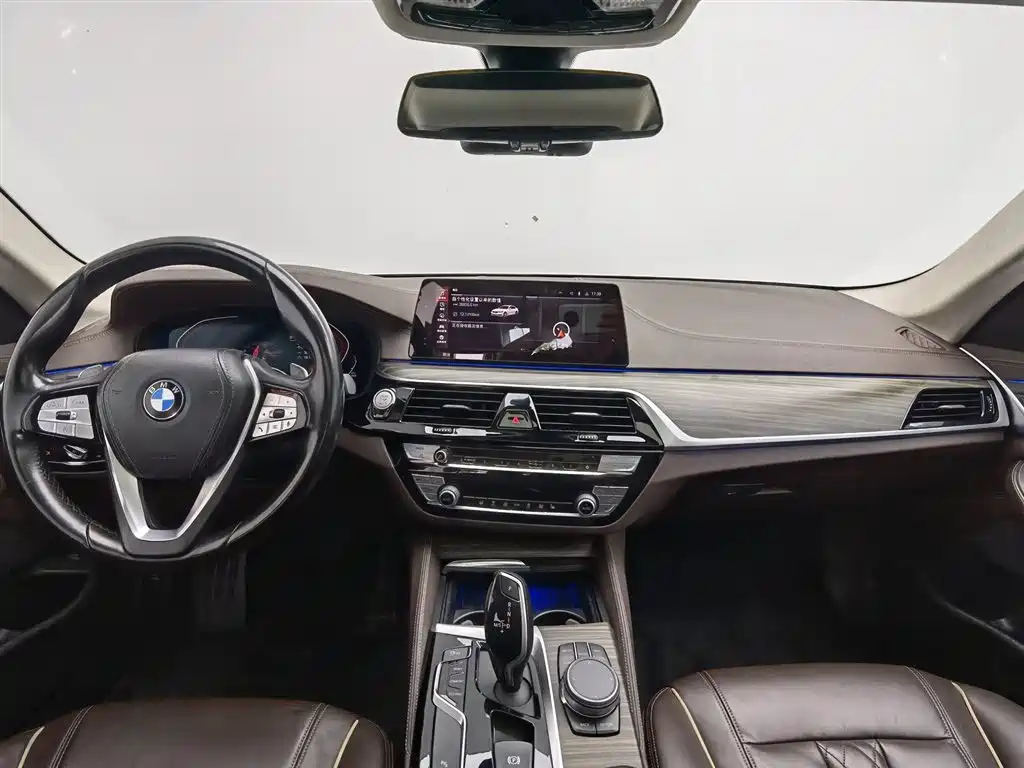 BMW 5 Series 5 2020 530Li Lead Luxury