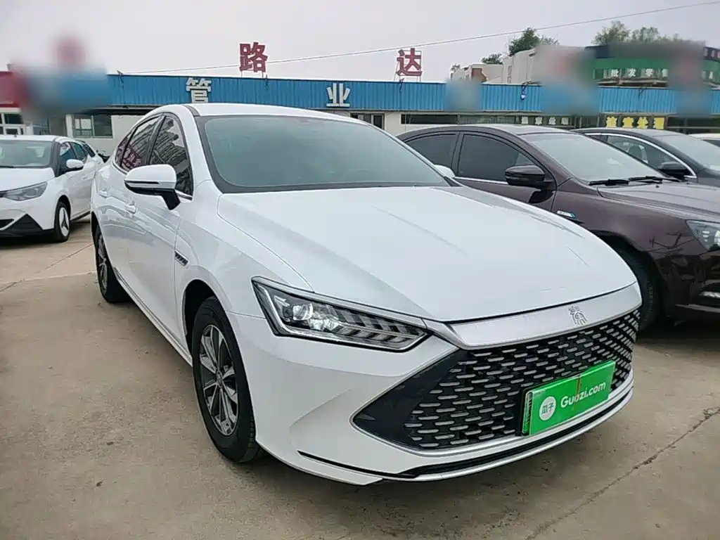 BYD Qin Plus PLUS 2024 DM-i 55KM Lead