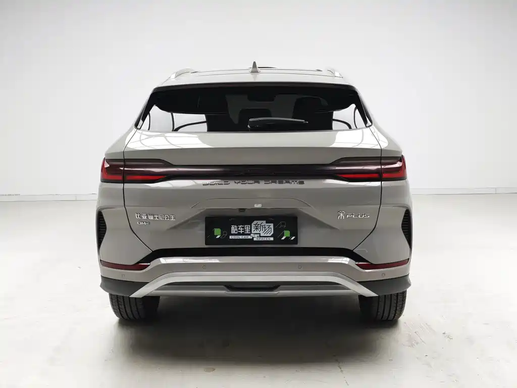 BYD PLUS New Energy — миниатюра 5
