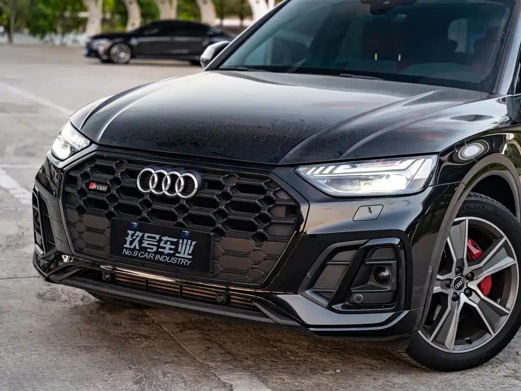Audi SQ5 — миниатюра 6