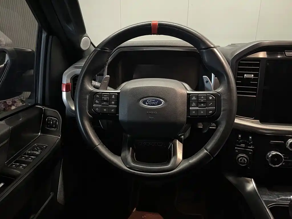 Ford F-150 Raptor — миниатюра 18