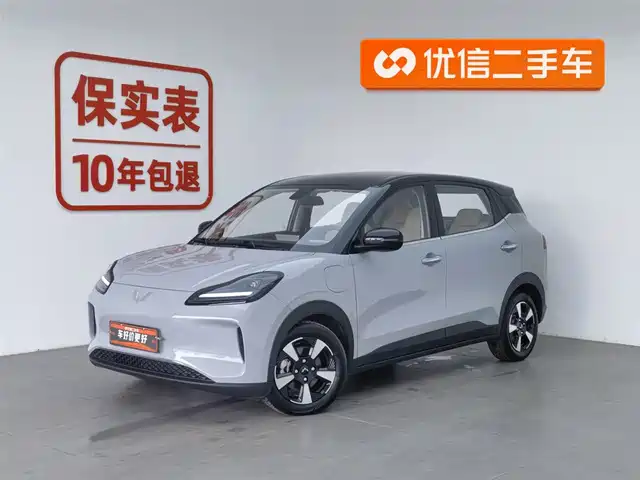 WULING AUTOMOBILE WULING BINGGUO PLUS 2025