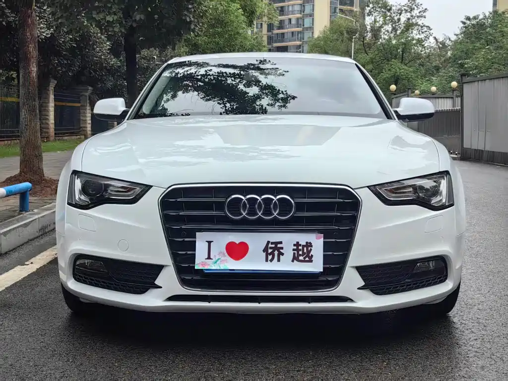 Audi A5 (Import) — миниатюра 2
