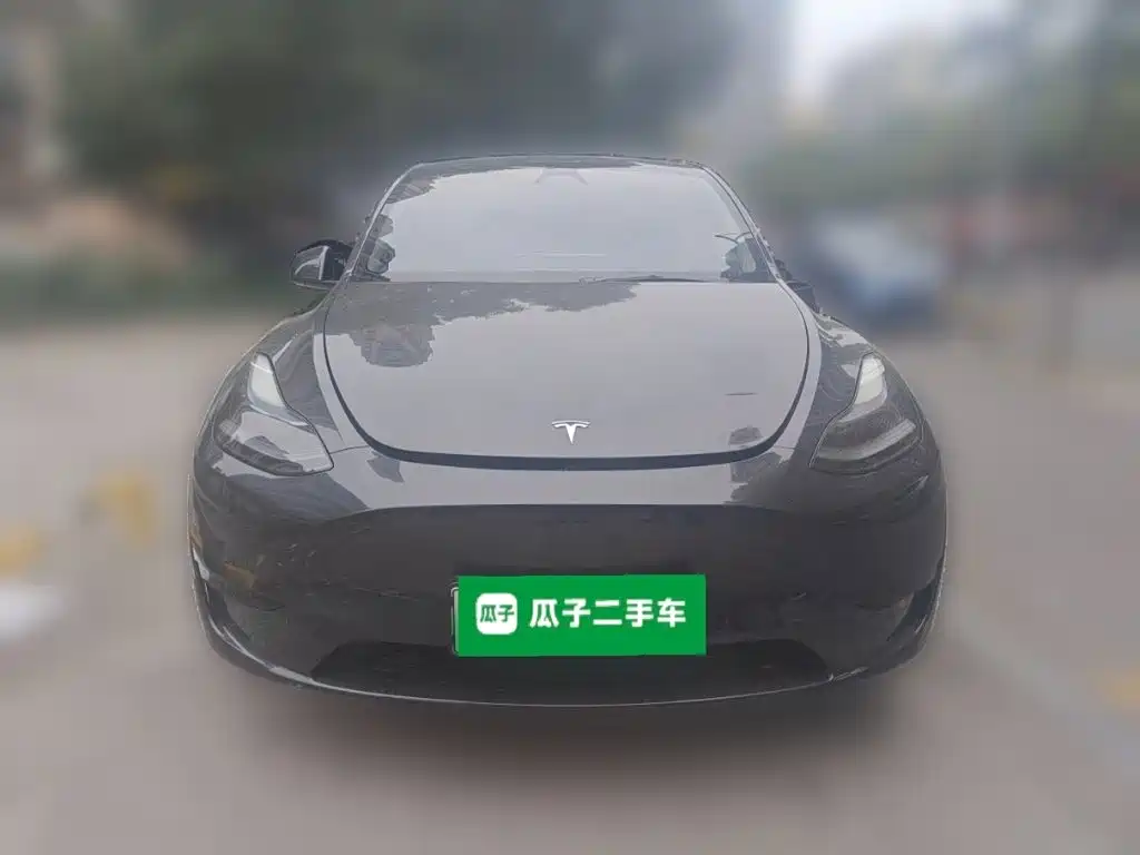Tesla Model Y — миниатюра 2