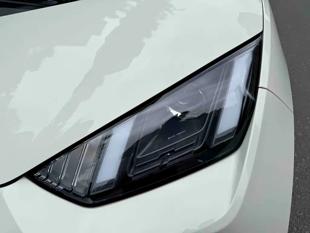 BYD Seagull 2024 305km