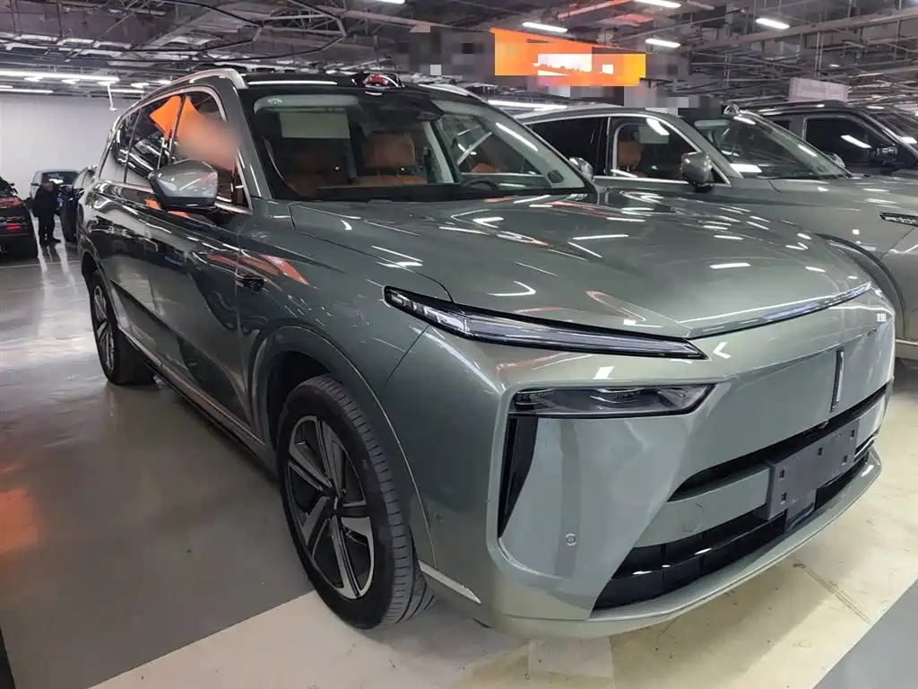 WEI PAI WEI BRAND BLUE MOUNTAIN