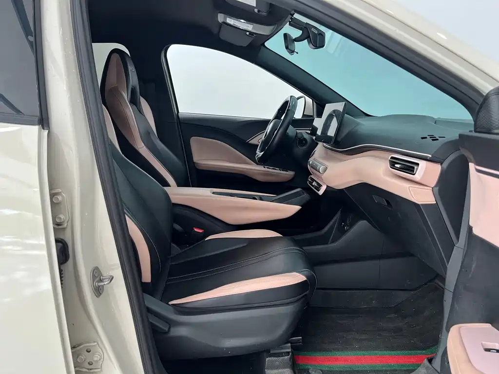 BYD Seagull