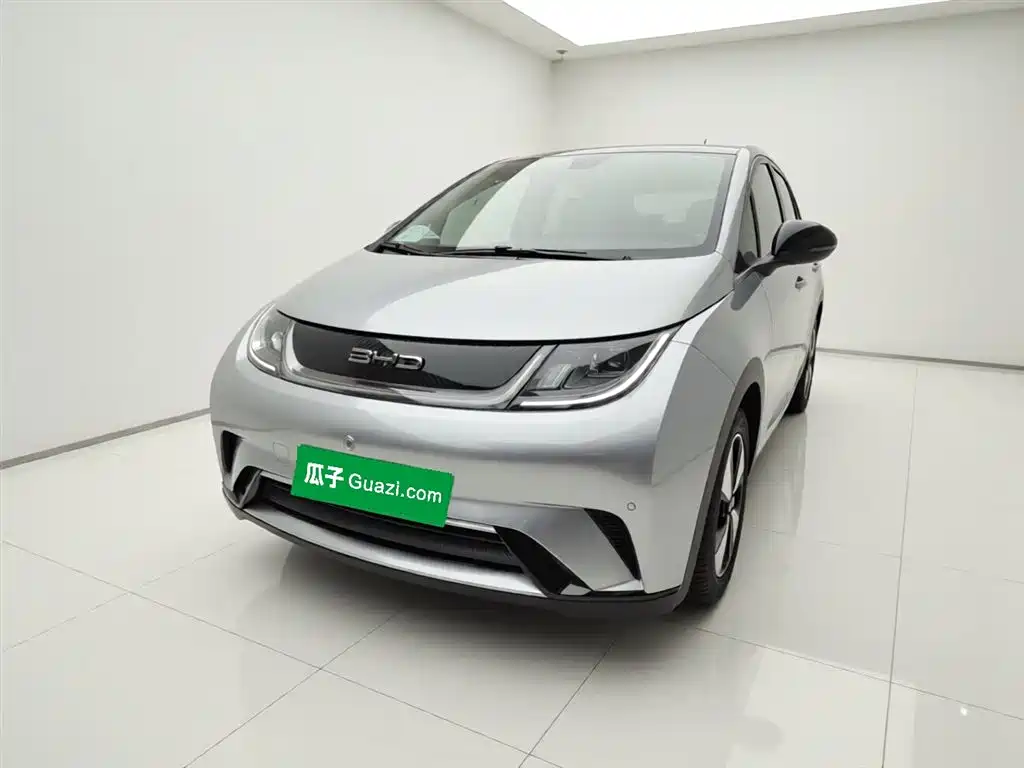 Byd Dolphin 2023