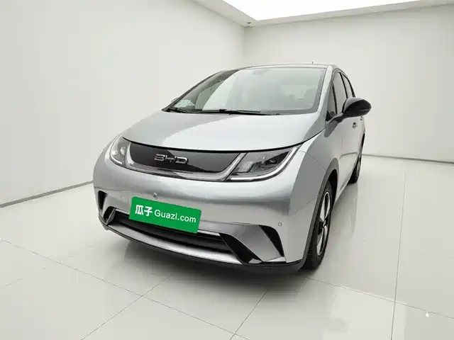 2023 BYD Dolphin
