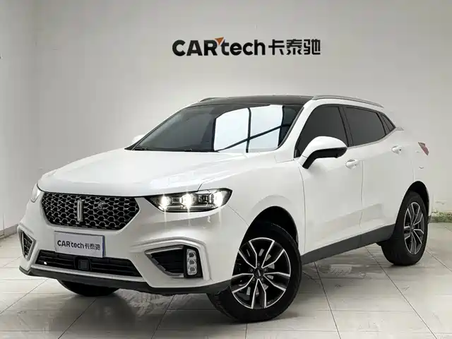 WEI PAI WEI BRAND VV5 2020