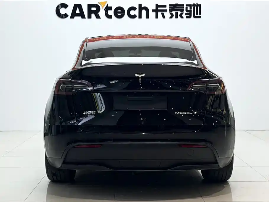 Tesla Model Y — миниатюра 3