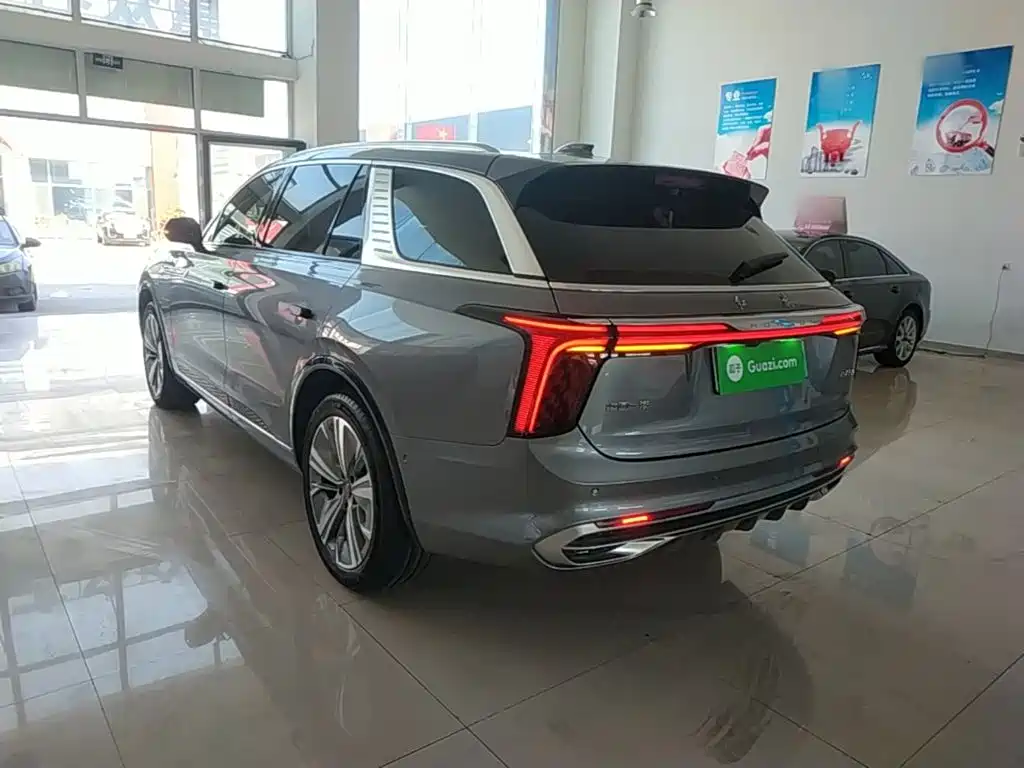 Hongqi Hongqi E-HS9 — миниатюра 5