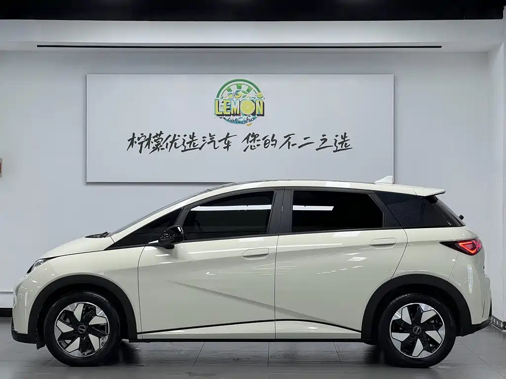 BYD Dolphin — миниатюра 5