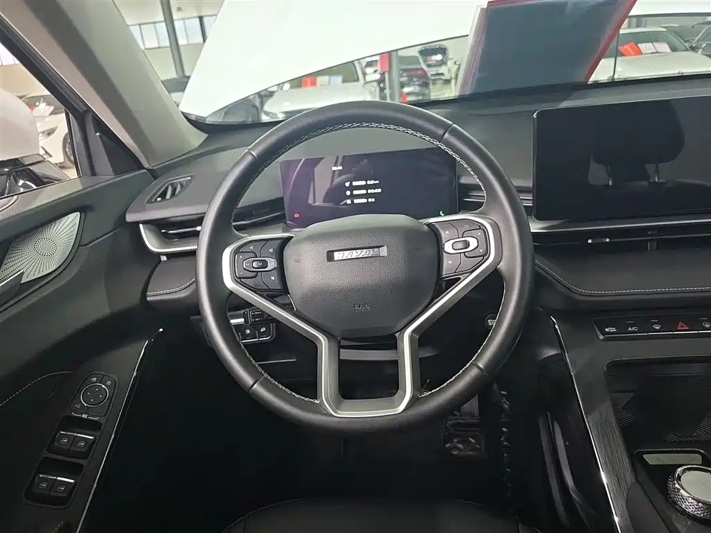 Haval H6 New Energy — миниатюра 11