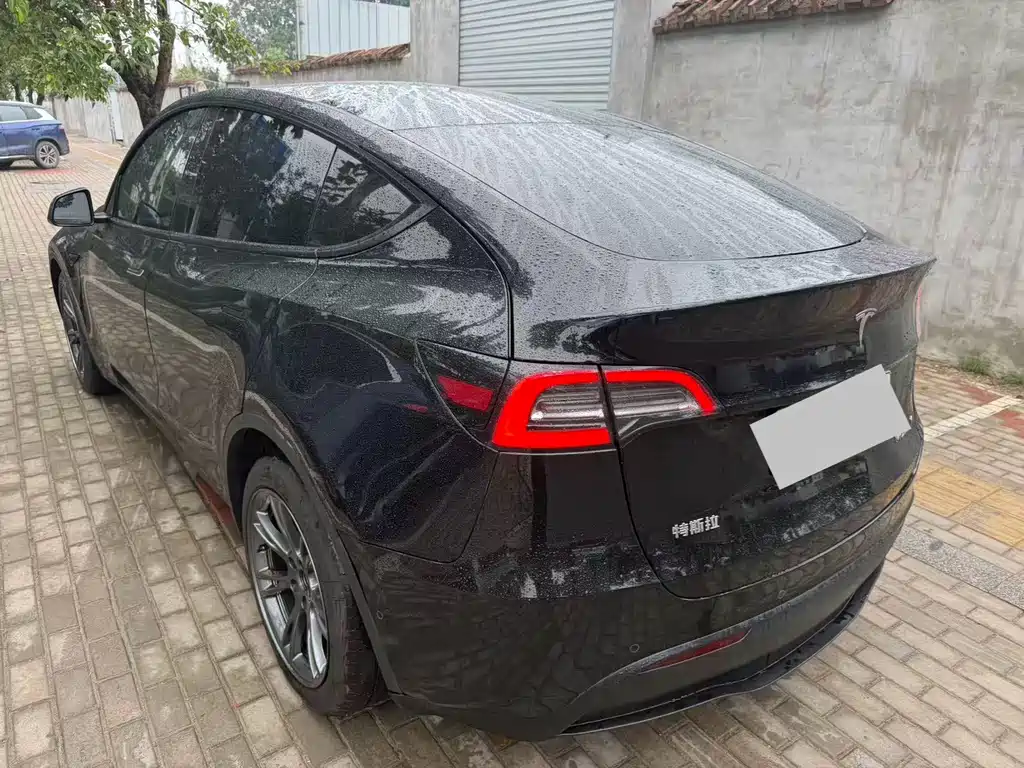 Tesla Model Y — миниатюра 3