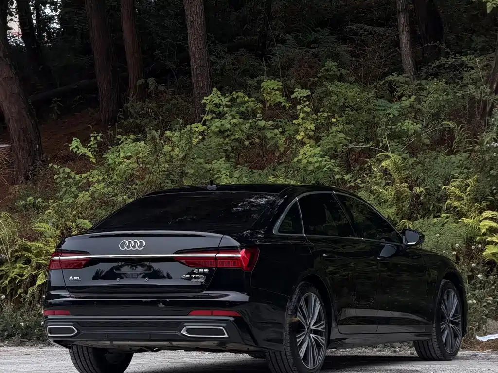 Audi A6L — миниатюра 9