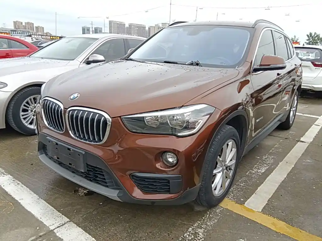 BMW X1 — миниатюра 2
