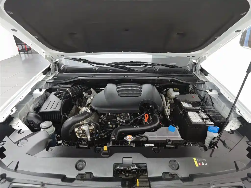 Geely Jingang 2023 2.0T MT Elite GW4D20M