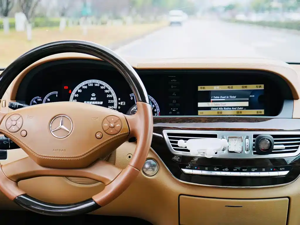 Mercedes-Benz S-Class S 2010 S 300 L Luxury