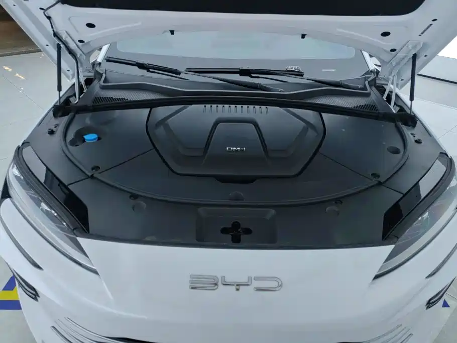 BYD PLUS New Energy — миниатюра 10