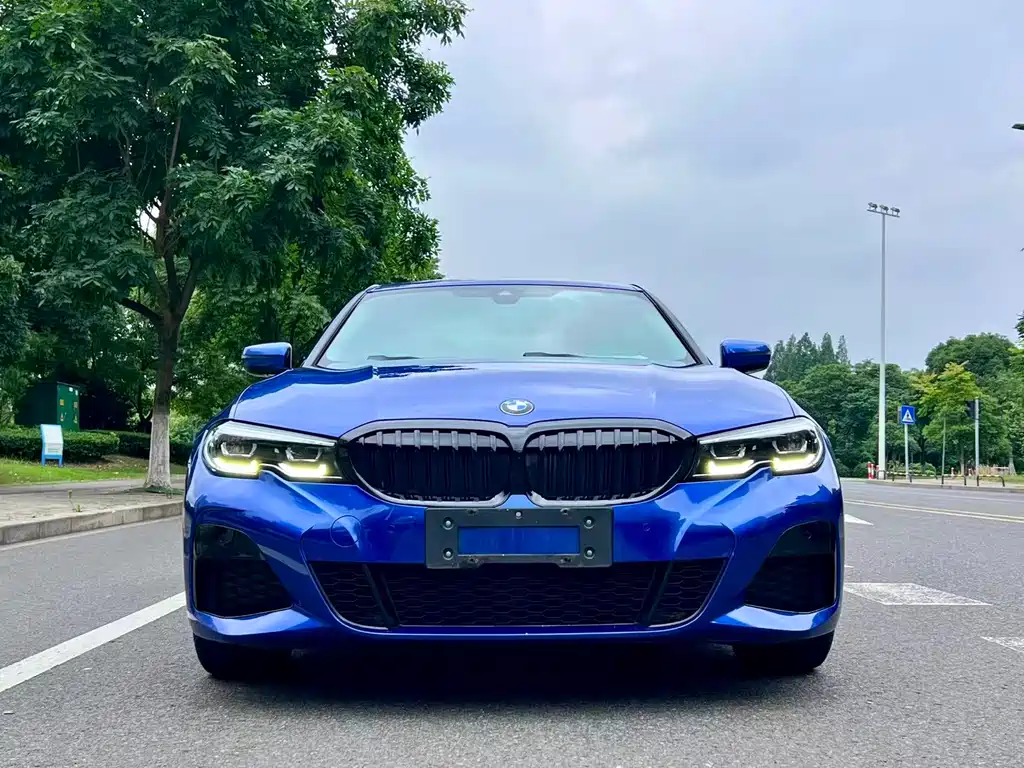 BMW 3 Series 3 2020 325Li