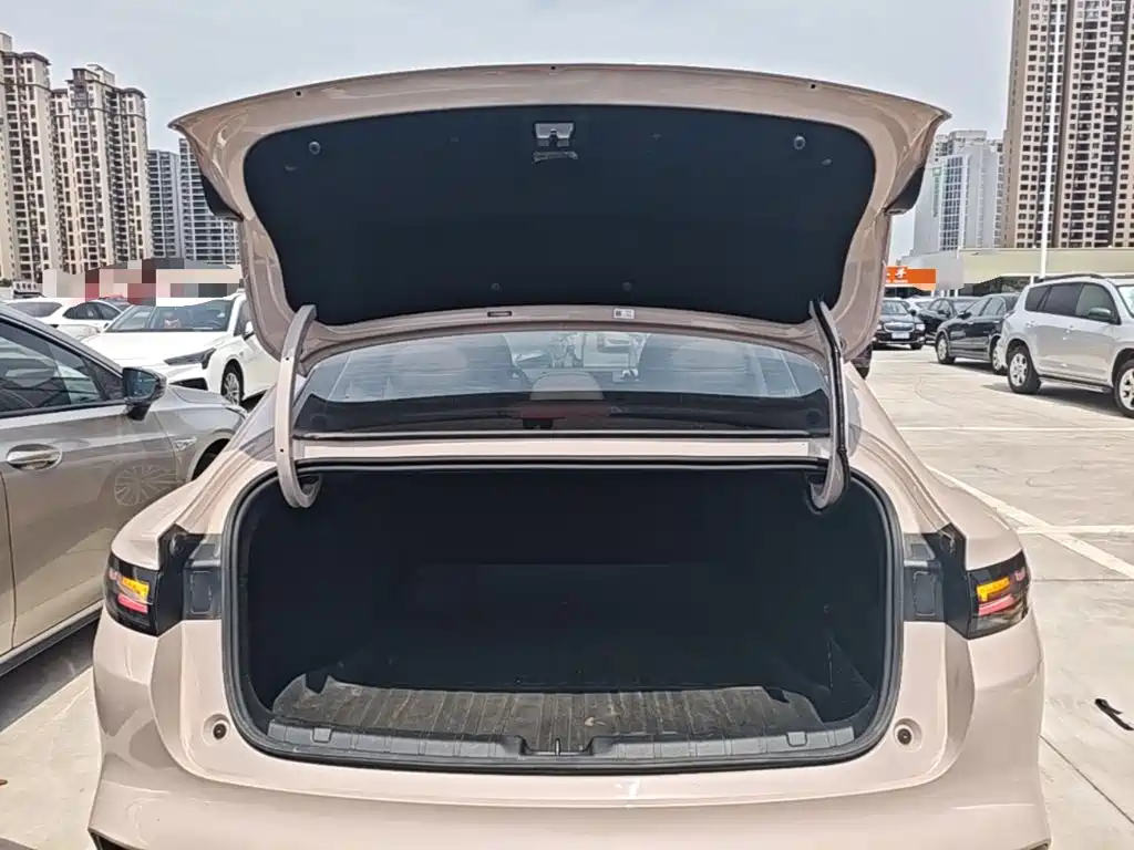 Leapmotor Leapmotor B01 — миниатюра 19