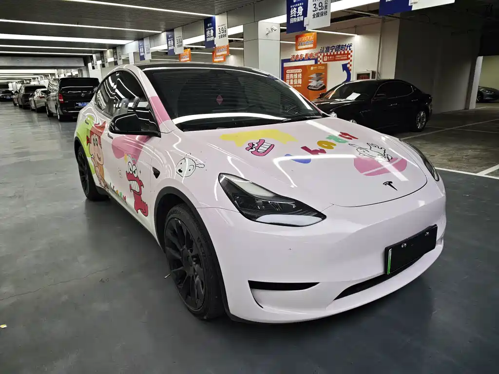Tesla Model Y — миниатюра 3