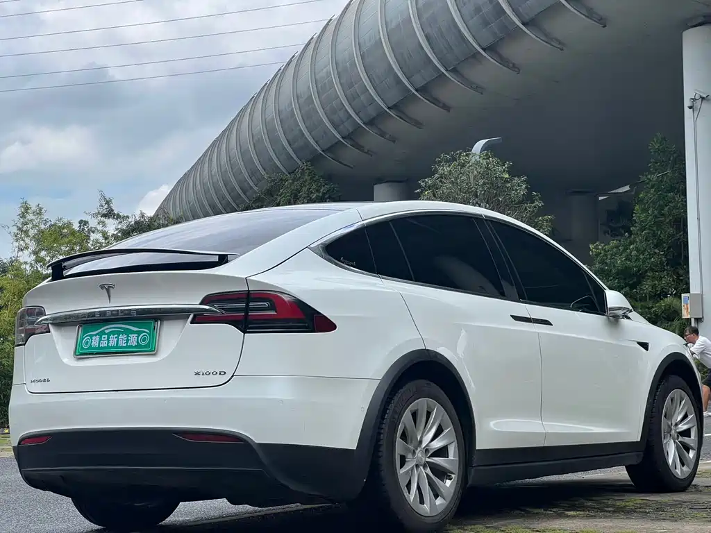 Tesla Model X 2017 Model X 100D