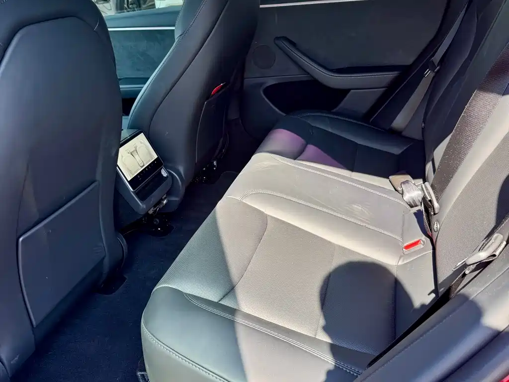 Tesla Model 3 — миниатюра 10