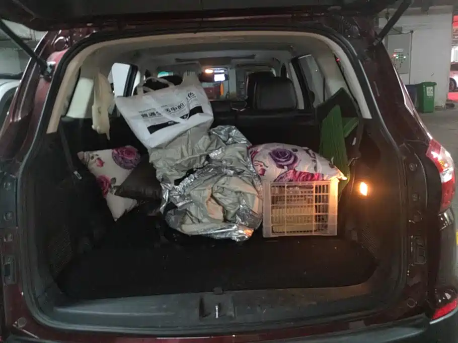 SWM SWAY MOTORS SWM SWIFT X7