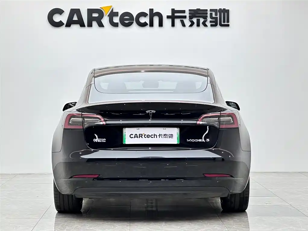 Tesla Model 3 2021 3D1