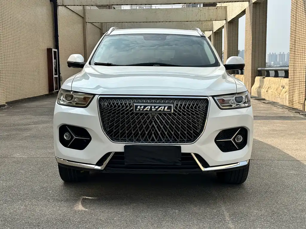 Haval H6 — миниатюра 2