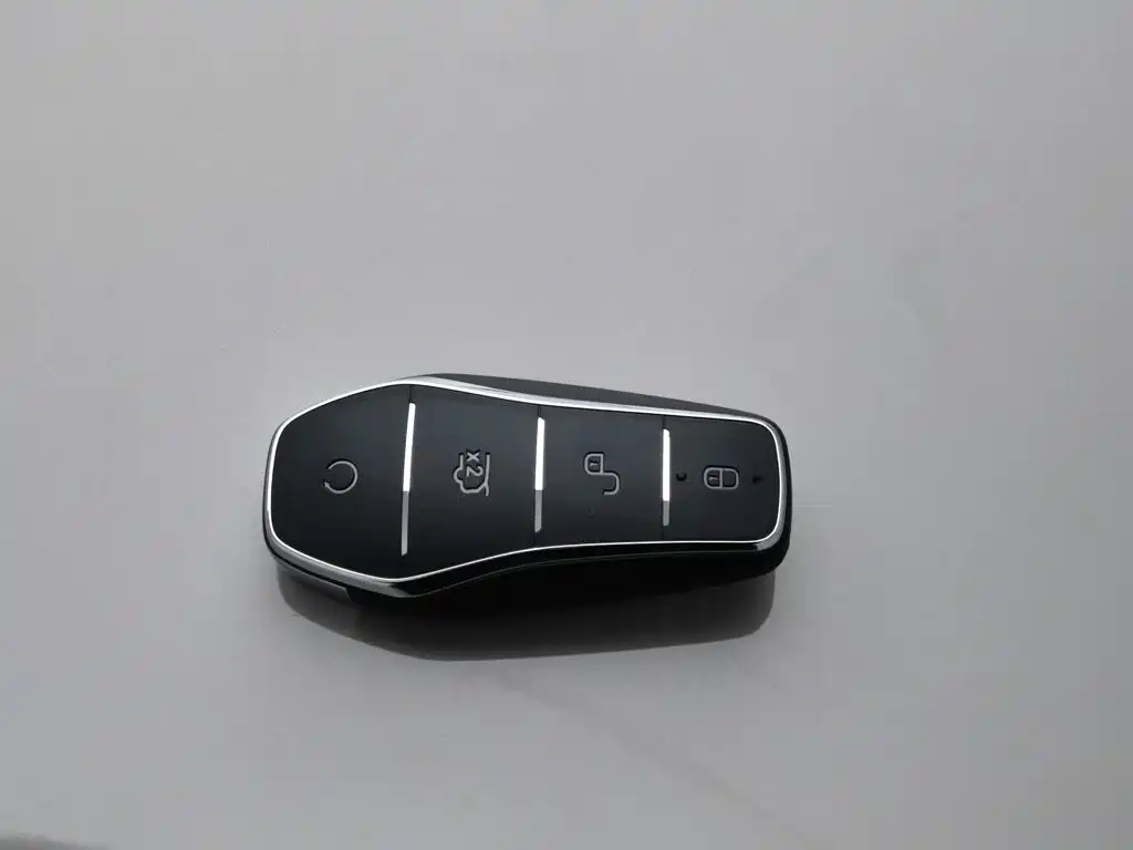 BYD PLUS New Energy — миниатюра 19
