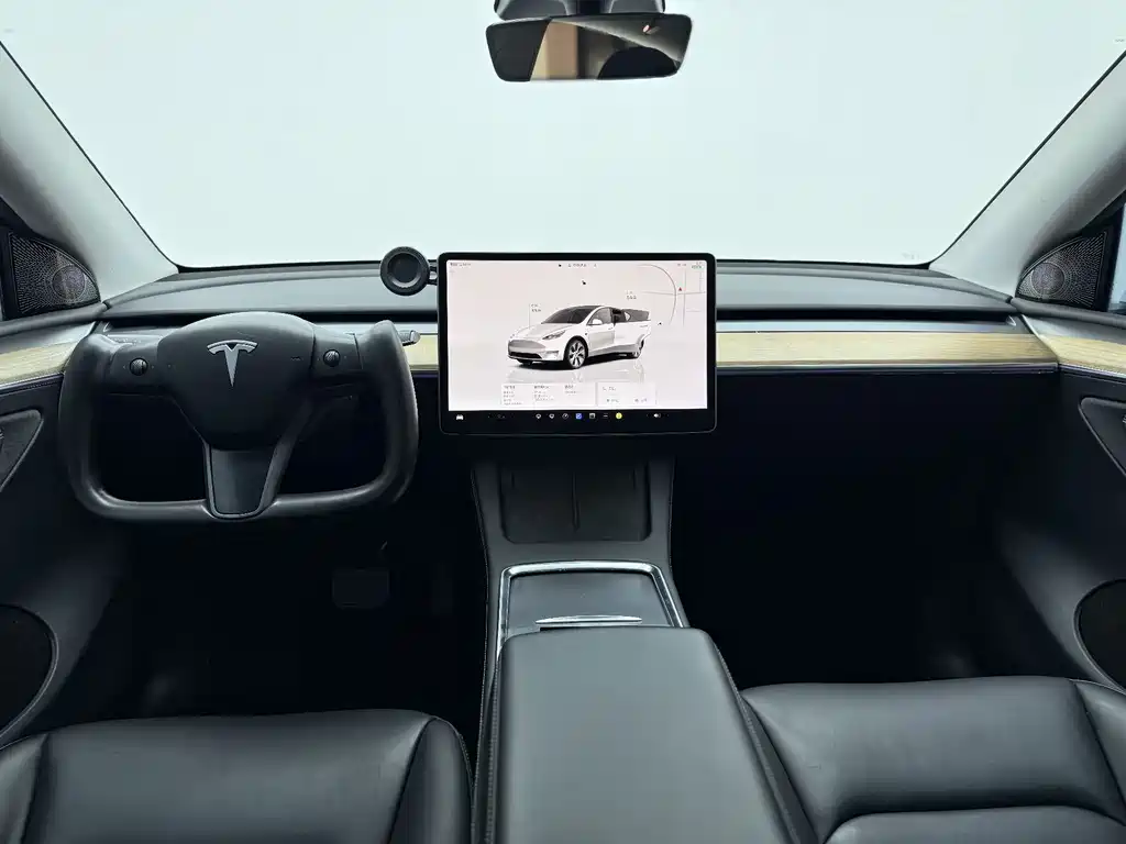 Tesla Model Y — миниатюра 7