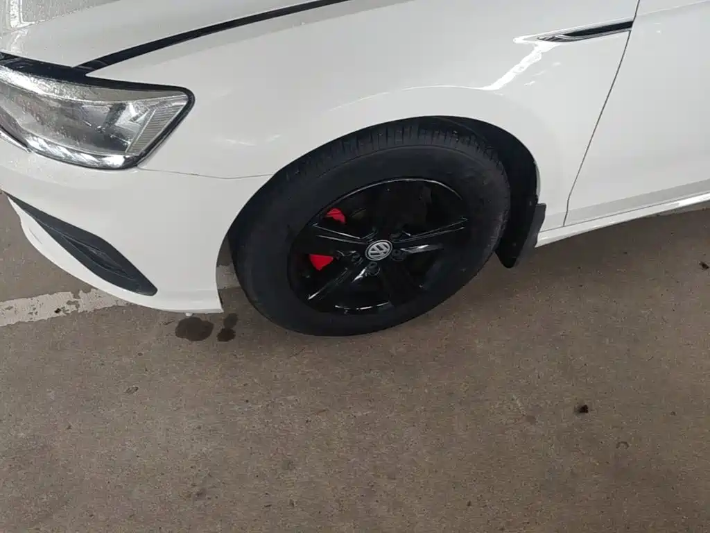 Volkswagen Lamando — миниатюра 23