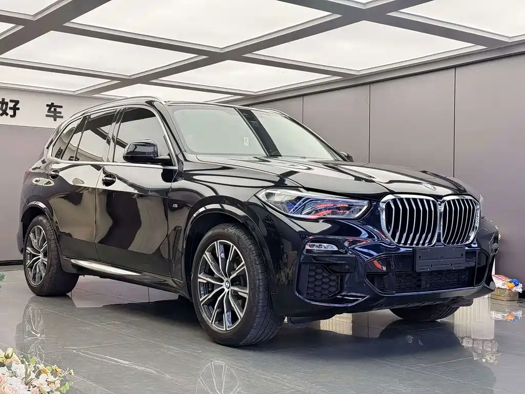 BMW X5 (Import) — миниатюра 3