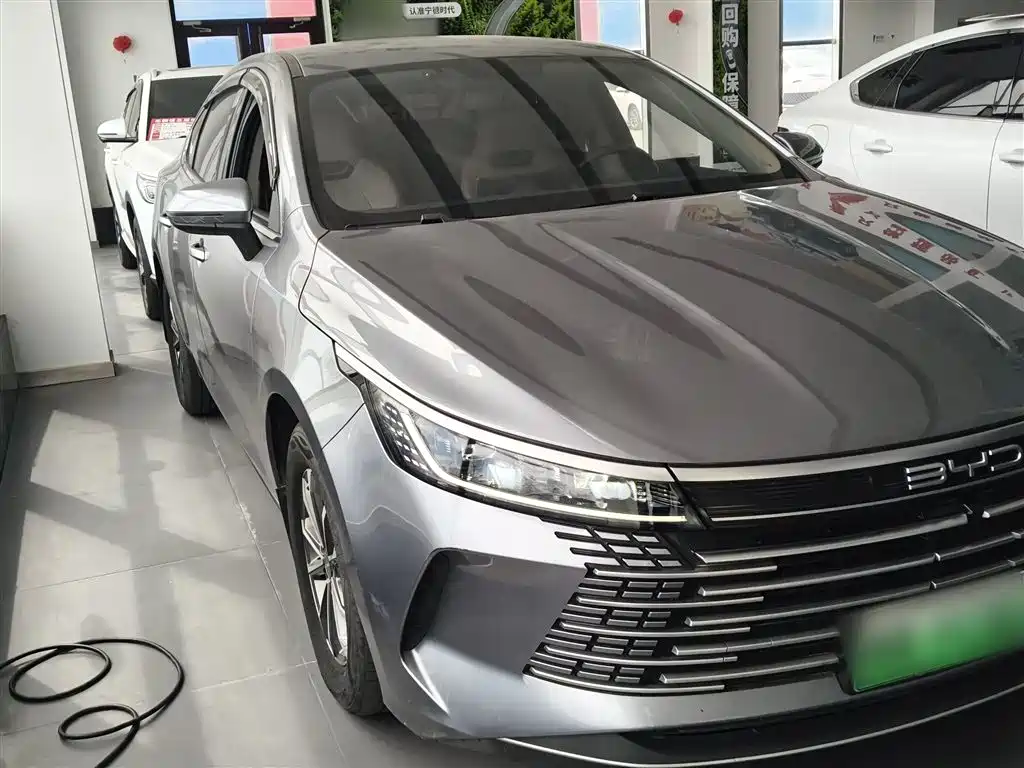 BYD Destroyer 05 - фото 4