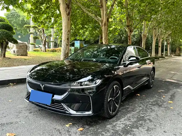 VOYAH LANTU CHASING LIGHT 2024