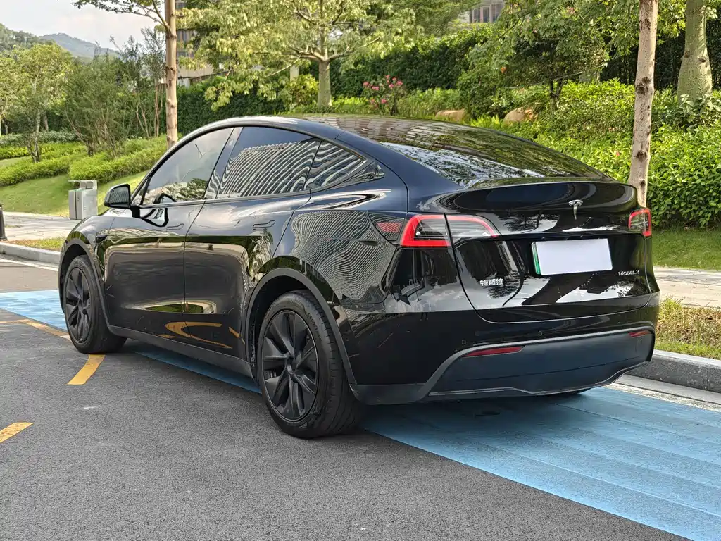 Tesla Model Y — миниатюра 15