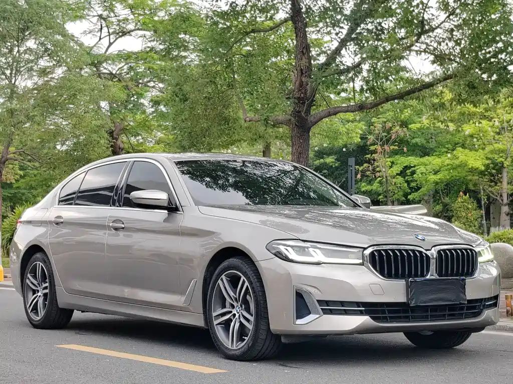 BMW 5 Series 5 2022 530Li Lead Luxury