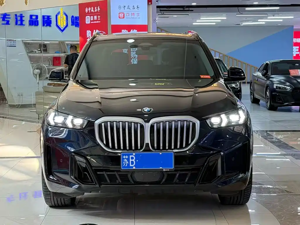 BMW X5 — миниатюра 2