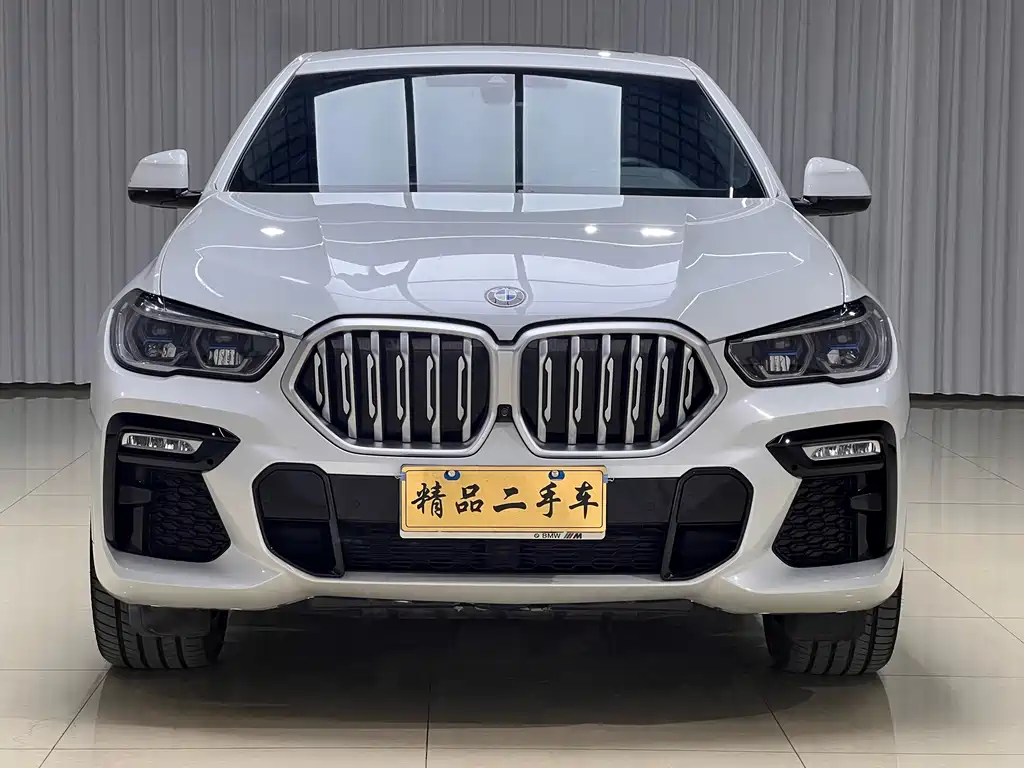 BMW X6 2020 xDrive40i M Sport