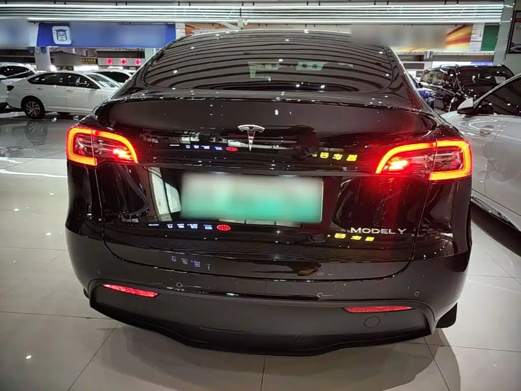 Tesla Model Y — миниатюра 6