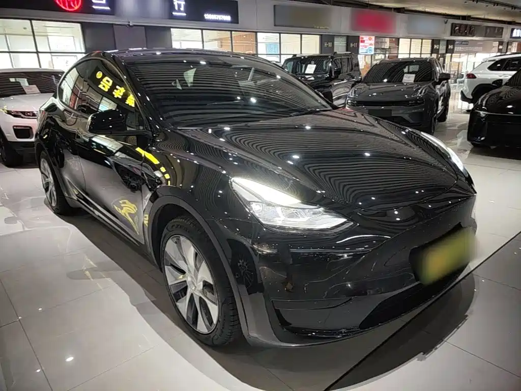 Tesla Model Y — миниатюра 4