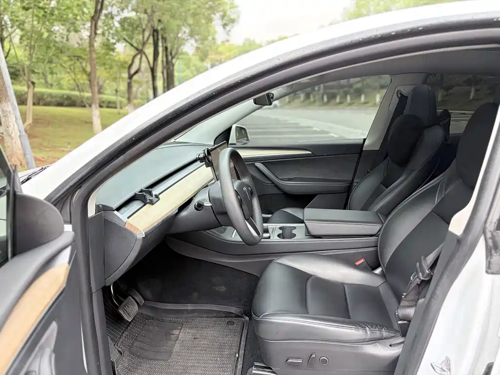 Tesla Model Y — миниатюра 9