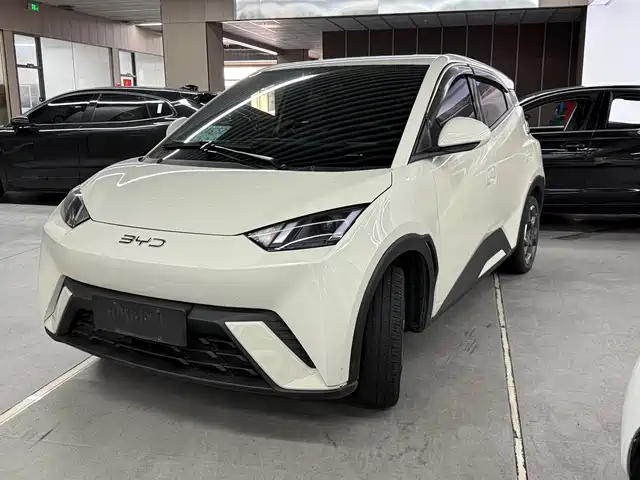 2024 BYD Seagull