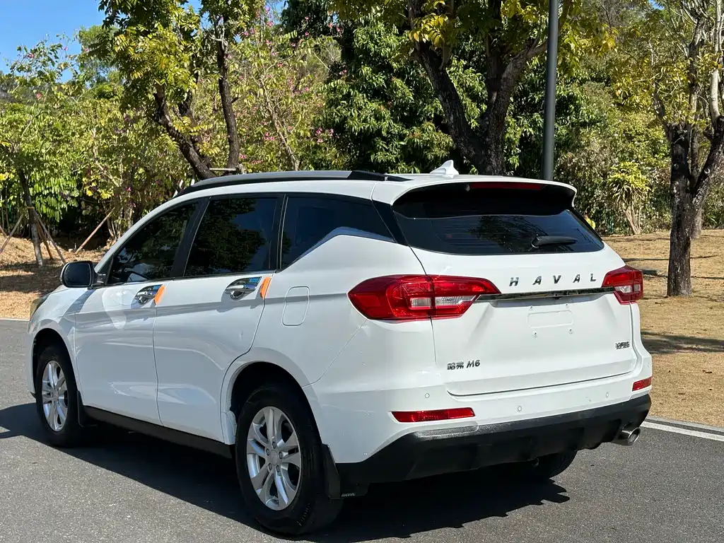 HAVAL M6